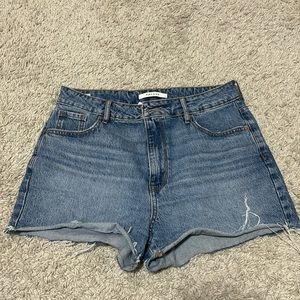 Pacsun Shorts